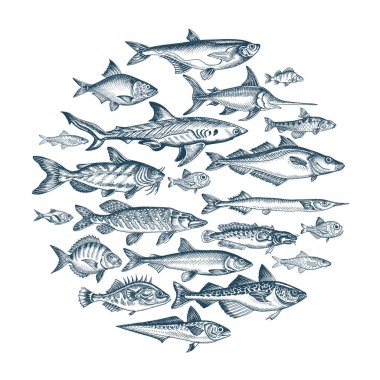 Balık pazarı için el çizimi pankart, vektör illüstrasyonu