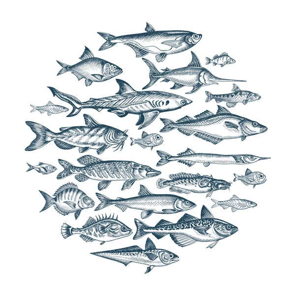 Banner Disegnato Mano Mercato Del Pesce Illustrazione Vettoriale — Vettoriale Stock