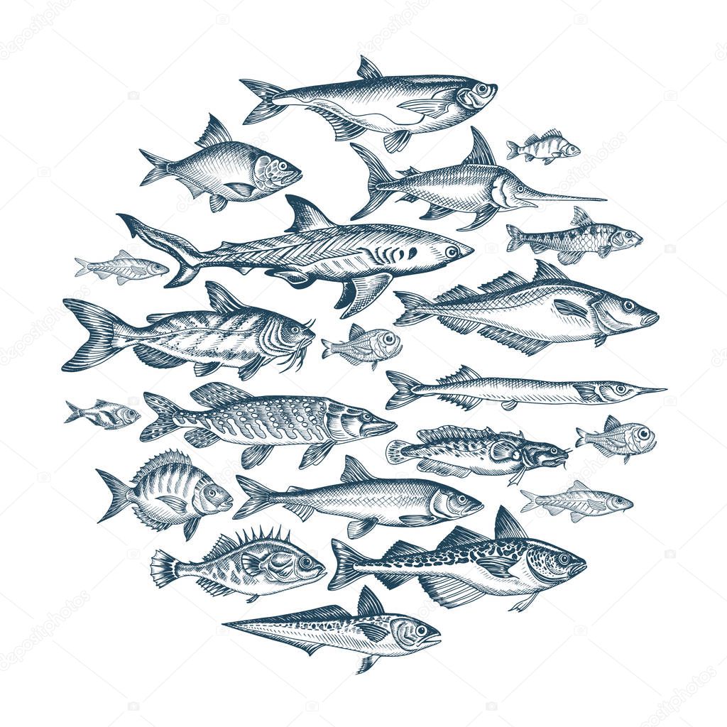 Hand drawn banner for fish market, vector illustration