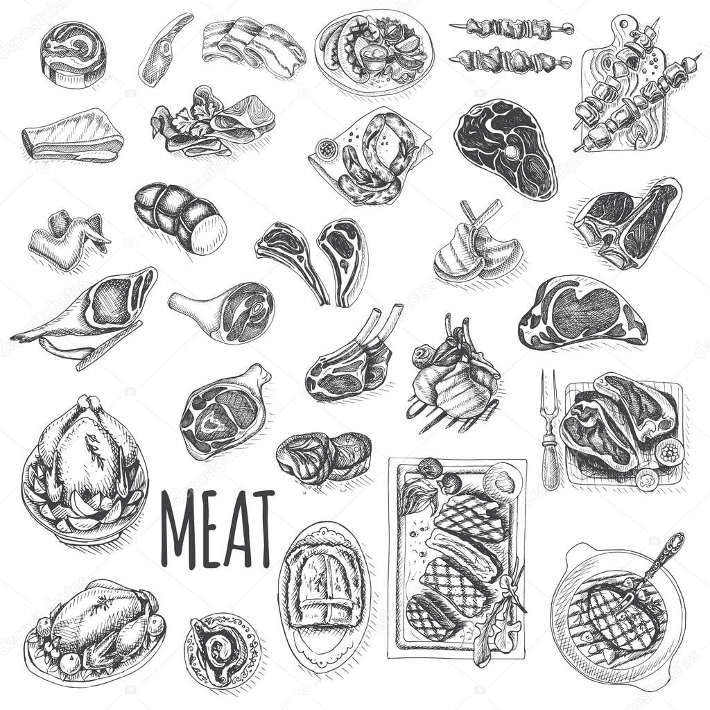 Vector illustration sketch of various meat on white