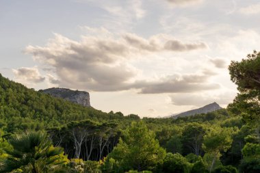 ormanda bulutlu gün batımı