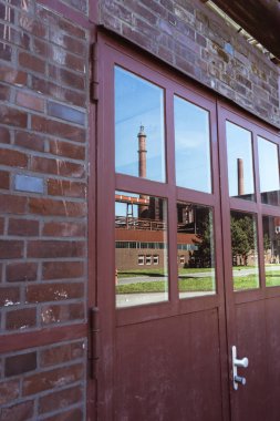 Bacalar ve kok bitki pencere yansıması