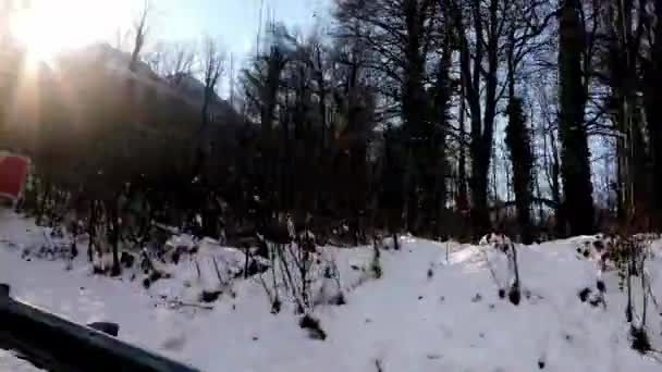 Le soleil brille à travers les arbres hiver forêt de neige 