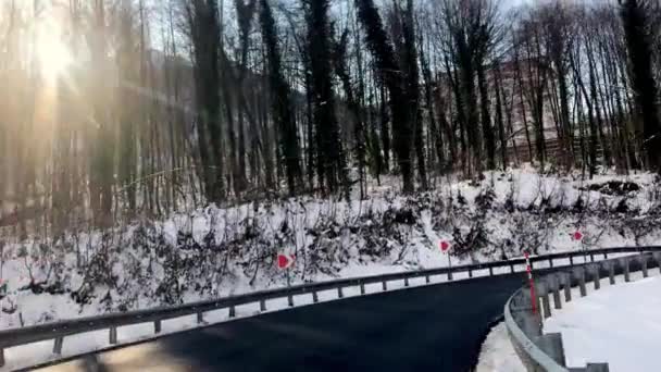 O sol brilha através das árvores floresta de neve de inverno — Vídeo de Stock