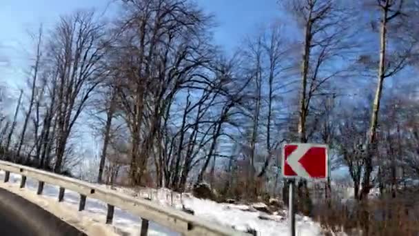 De zon schijnt door de bomen winters sneeuwwoud — Stockvideo