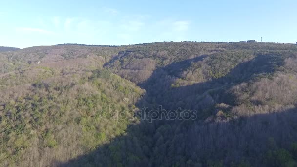 Widokiem Stambuł Beykoz Las Drone — Wideo stockowe