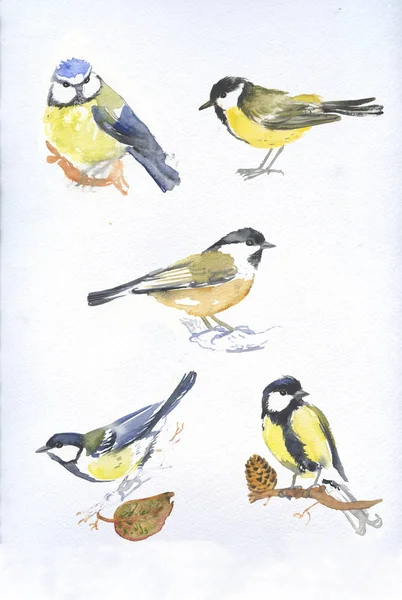 Dessiné Main Aquarelle Oiseaux Seins Ensemble — Photo