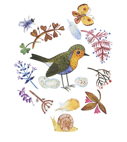 Handritade Akvarell Uppsättning Stiliserade Vilda Växter Och Djur Fågel Robin — Stockfoto
