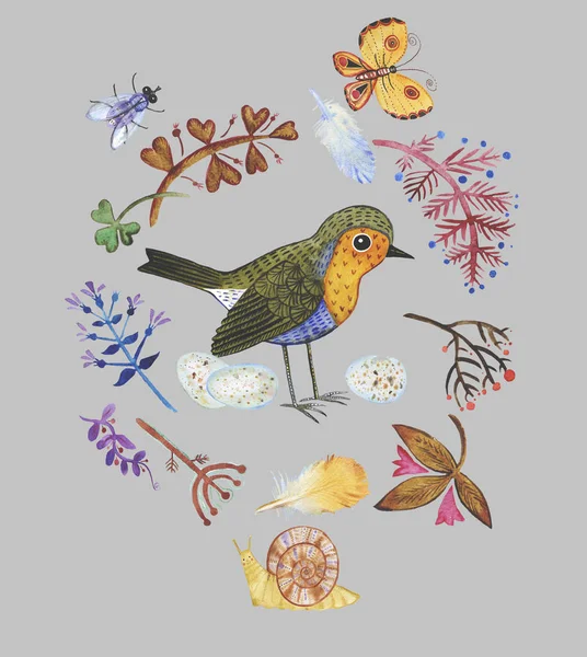 Acuarela Dibujada Mano Conjunto Plantas Animales Silvestres Estilizados Robin Pájaro —  Fotos de Stock