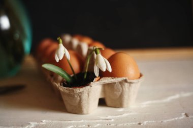  Paskalya, bahar tatilleri arka plan, yumurta, kartopu, yuva