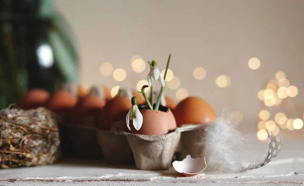 Πάσχα Άνοιξη Διακοπές Φόντο Αυγό Πτώση Χιονιού Φωλιά — Φωτογραφία Αρχείου