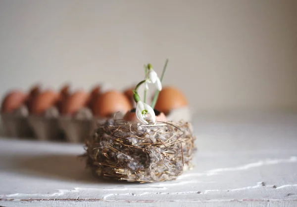 Πάσχα Άνοιξη Διακοπές Φόντο Αυγό Πτώση Χιονιού Φωλιά — Φωτογραφία Αρχείου