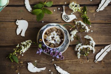 Paskalya arkaplanı bir fincan çay, çiçek açan dallar, boyanmış yumurtalar, figür kuşlar ve tüyler.