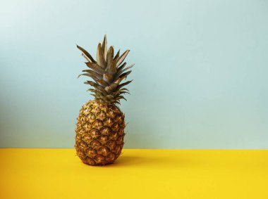  Deniz kabukları ve ananas ile mavi ve sarı arka planda yaz tatili konsepti