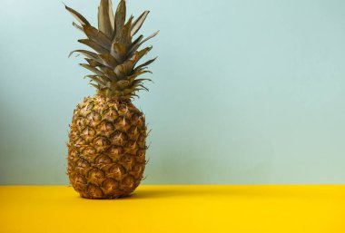  Deniz kabukları ve ananas ile mavi ve sarı arka planda yaz tatili konsepti