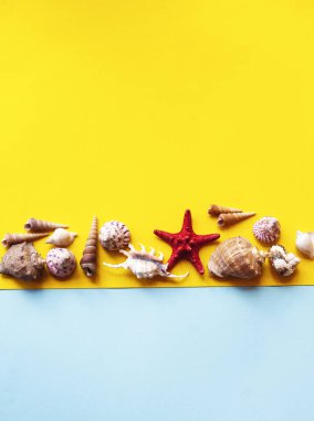   Mavi ve sarı arka planda deniz kabukları olan yaz tatili konsepti