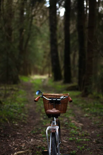 春の森を自転車で駆け抜ける — ストック写真