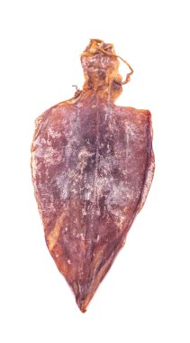 Beyaz arkaplanda kurumuş mürekkep balığı