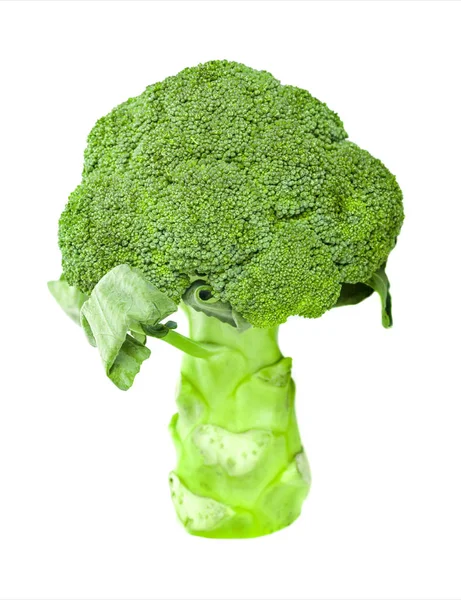 Broccoli geïsoleerd op witte achtergrond — Stockfoto