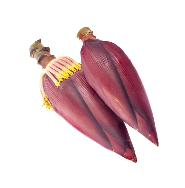 Beyaz arkaplanda yalıtılmış muz çiçeği