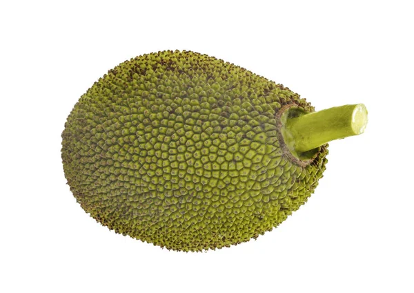 Jackfruit geïsoleerd op witte achtergrond — Stockfoto