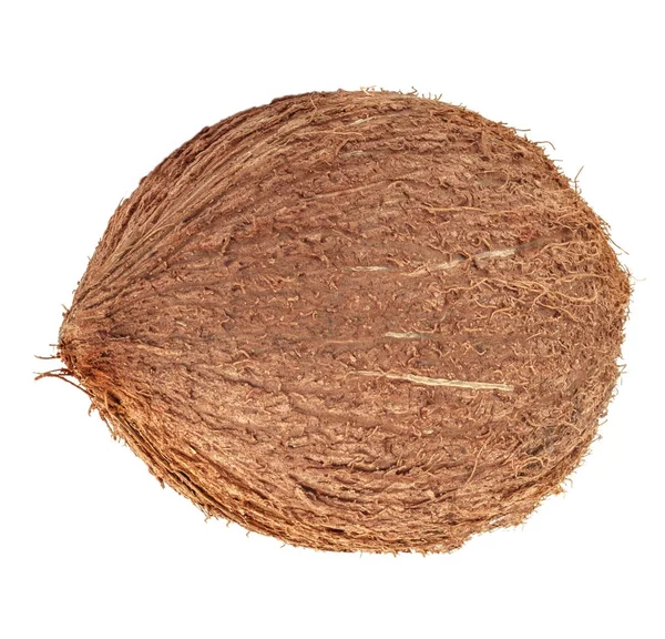 Brun kokos på vit bakgrund — Stockfoto