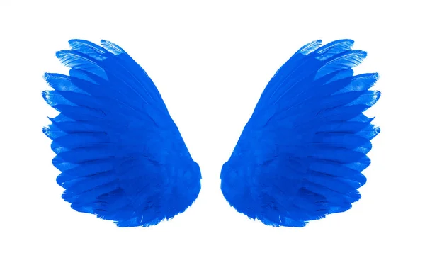 Blue wing isolated on white background — Stock Photo, Image