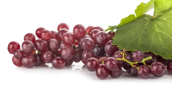 Rote Traube mit Blatt isoliert auf weißem Hintergrund — Stockfoto