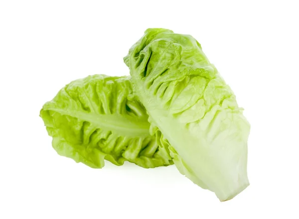 Bebek çünkü beyaz arka plan üzerinde izole marul