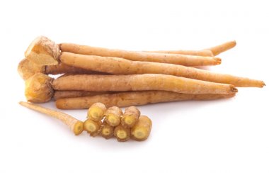 parmak kök (Krachai) Tay ot