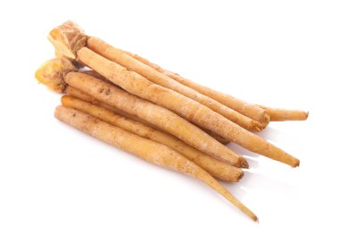 parmak kök (Krachai) Tay ot