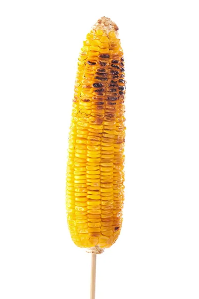Aperitivo maíz a la parrilla en fondo blanco — Foto de Stock
