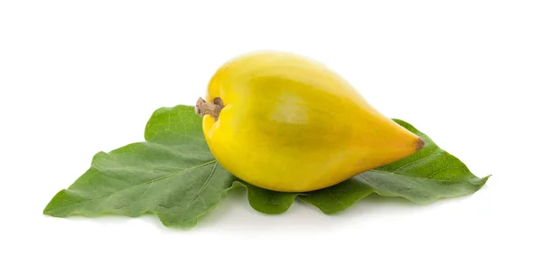Fruta del huevo, Canistel, Sapote amarillo (Pouteria campechiana (Kunth ) — Foto de Stock