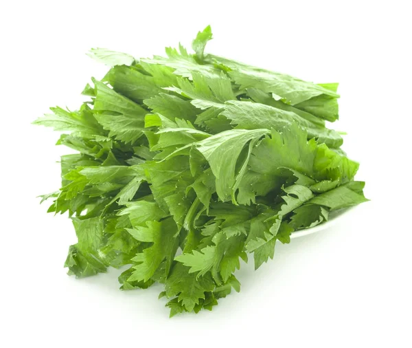 Fresh celery on white background — Stock Photo, Image