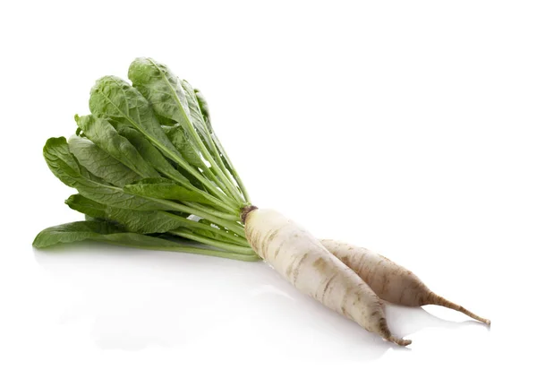 Rábanos daikon aislados sobre fondo blanco — Foto de Stock