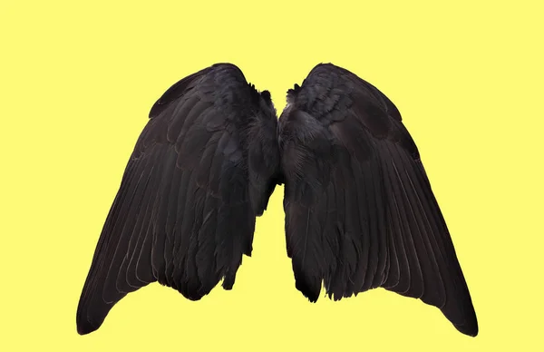 Ангел крила ізольованої — стокове фото