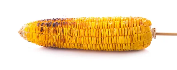 Előétel Grillezett kukorica fehér háttér a — Stock Fotó