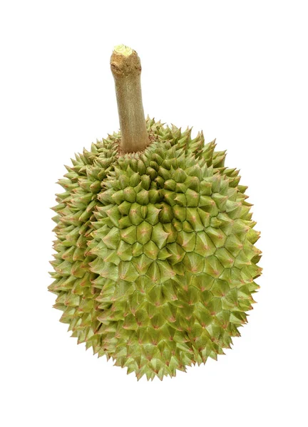 Zbliżenie zielony durian izolowana na białym tle. — Zdjęcie stockowe