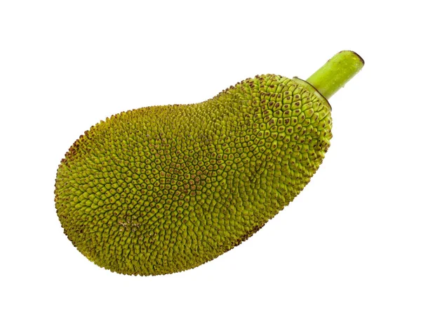 Jackfruit geïsoleerd op witte achtergrond — Stockfoto