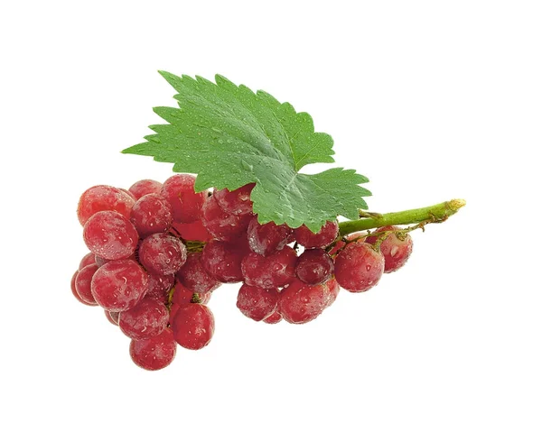 Czerwone winogrona z liściem izolowanym na białym tle — Zdjęcie stockowe