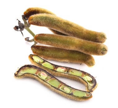 Beyaz zemin üzerinde ısırgan otu kahverengi kapsülleri (Mucuna pruriens).