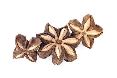 Sacha inchi yerfıstığı tohumu beyaz arka planda izole edildi