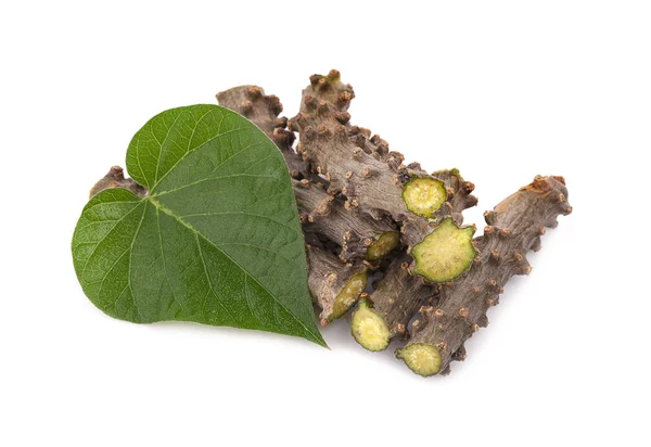 Tinospora Cordifolia med leaf isolerad på vit bakgrund. — Stockfoto