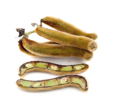 Beyaz zemin üzerinde ısırgan otu kahverengi kapsülleri (Mucuna pruriens).