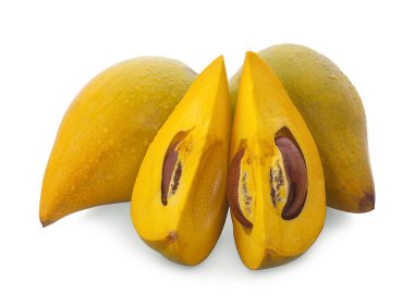 Yumurta meyve, Canistel, sarı sapot (Pouteria campechiana (Kunth)