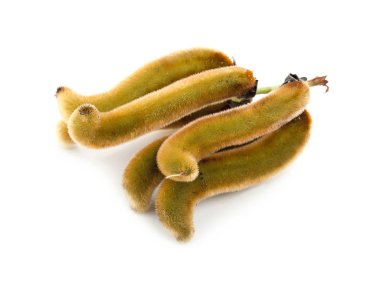 Beyaz zemin üzerinde ısırgan otu kahverengi kapsülleri (Mucuna pruriens).