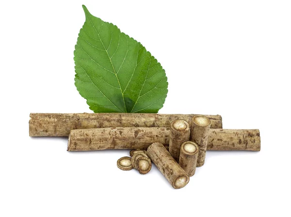 Burdock kökleri izole edilmiş beyaz arkaplan