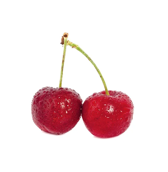 Cherry isolated on white background — Stock Photo, Image