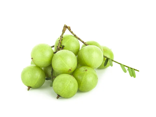Beyaz arka planda izole edilmiş Hint Bektaşi üzümü