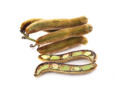 Beyaz zemin üzerinde ısırgan otu kahverengi kapsülleri (Mucuna pruriens).